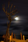 La Notte delle tenebre. La Notte delle tenebre.