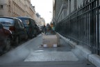 Barbone sulle strade di Parigi Barbone sulle strade di Parigi