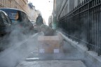 Barbone sulle strade di Parigi Barbone sulle strade di Parigi