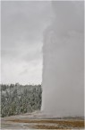 Yellowstone - Old Faithfull Yellowstone - Old Faithfull