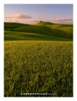 toscana