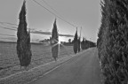 il vialino di casa il vialino di casa
