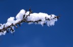 Profumo di neve Profumo di neve