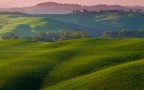 Colline Senesi Colline Senesi