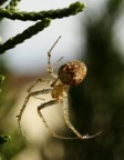 Asciugarsi al sole Asciugarsi al sole
