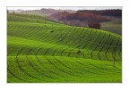The green hill