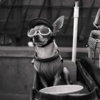 Zenza Bronica Sq-Ai
Kodak Tri-x sviluppato in casa in HC-110