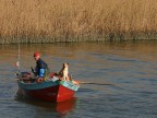 fido compagno di pesca fido compagno di pesca