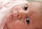 Vi presento mia figlia Vi presento mia figlia