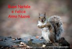 Buone Feste Buone Feste