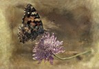 non è più tempo da macro non è più tempo da macro