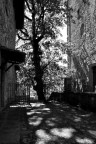 controluce controluce