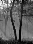 nel parco nel parco