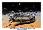 drops drops
