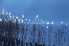 canneto contro luce canneto contro luce