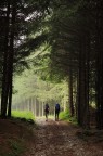 Verso la luce Verso la luce