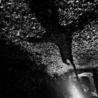 The Girl Who Loved Tom Gordon