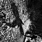 The Girl Who Loved Tom Gordon