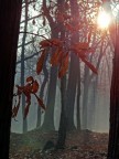 sole per il sole sole per il sole