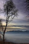 Nebbia e colori Nebbia e colori