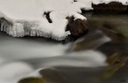 Il lento freddo. Il lento freddo.