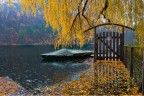 Autunno bagnato Autunno bagnato