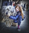 la bimba e il cane la bimba e il cane