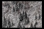 Semplicemente...inverno Semplicemente...inverno