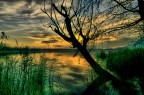 Annone al tramonto Annone al tramonto