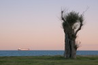 Orizzonte Orizzonte