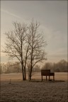 Lezioni di Piano Lezioni di Piano