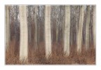 White Trees White Trees