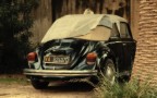 beetle 1 beetle 1