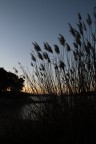 ... al tramonto ... al tramonto