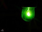 Christmas Light. (: Christmas Light. (: