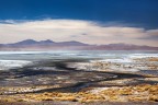 Laguna Colorada Laguna Colorada