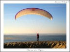 volare volare