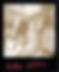 Pola-experience 01 Pola-experience 01