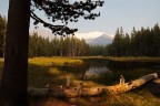 Pond Pond