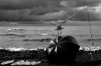 Mare cos� vicino da sentirne il sapore
nel cuore
quale riflusso codardo.