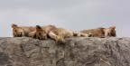 Tanzania 9 Tanzania 9