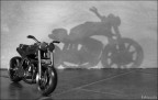 My little Bike My little Bike