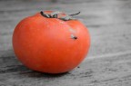Pomodoro Rosso Pomodoro Rosso