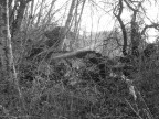 Rovine Rovine