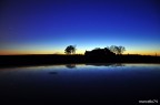 Alba Alba