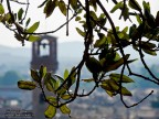 Spiraglio Spiraglio