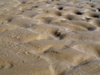 dune nella sabbia dune nella sabbia