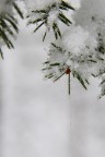 Cristalli... Cristalli...