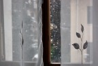 Inverno . 2