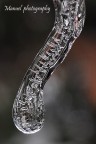 ice ice